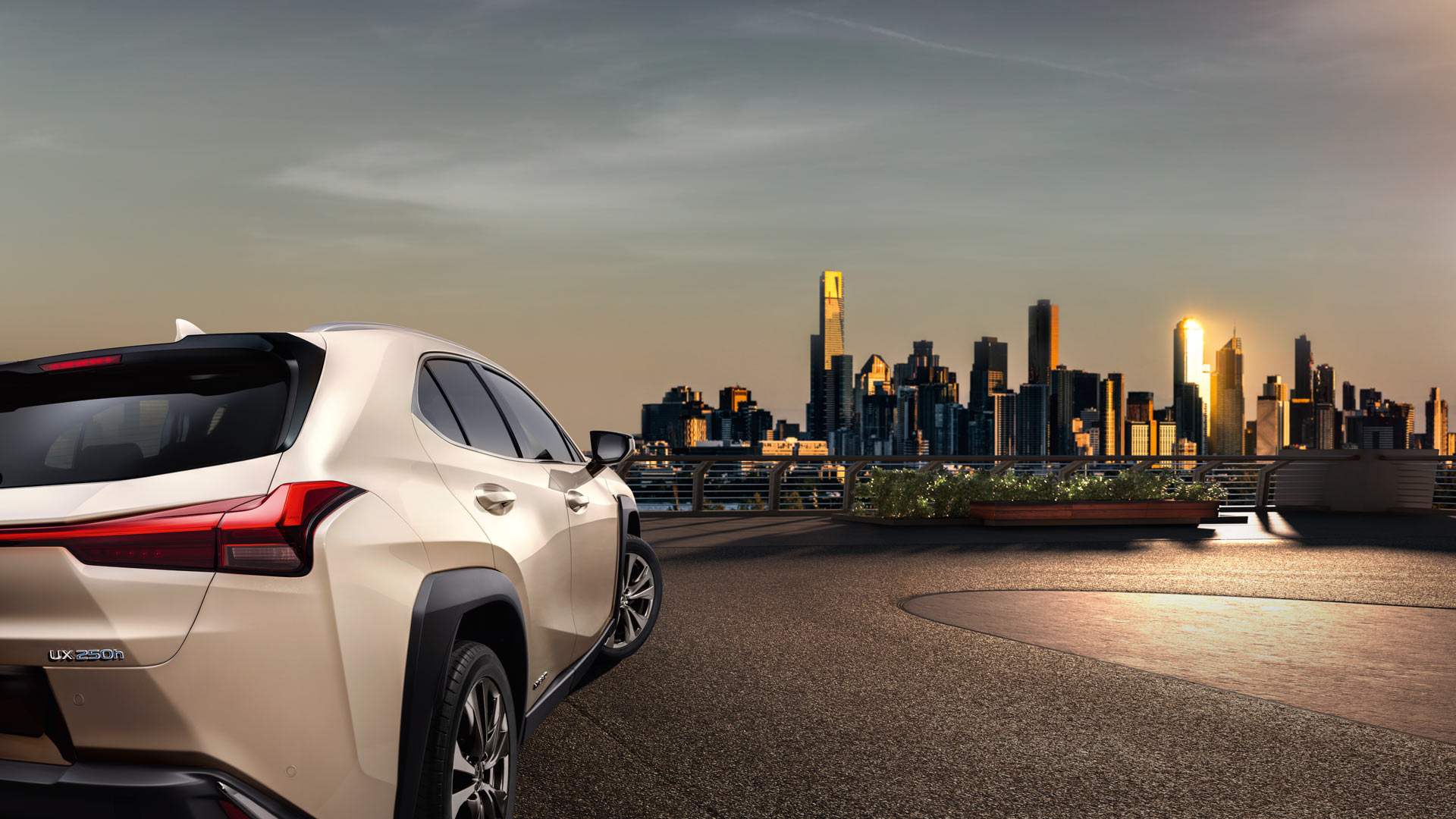 UX F SPORT back