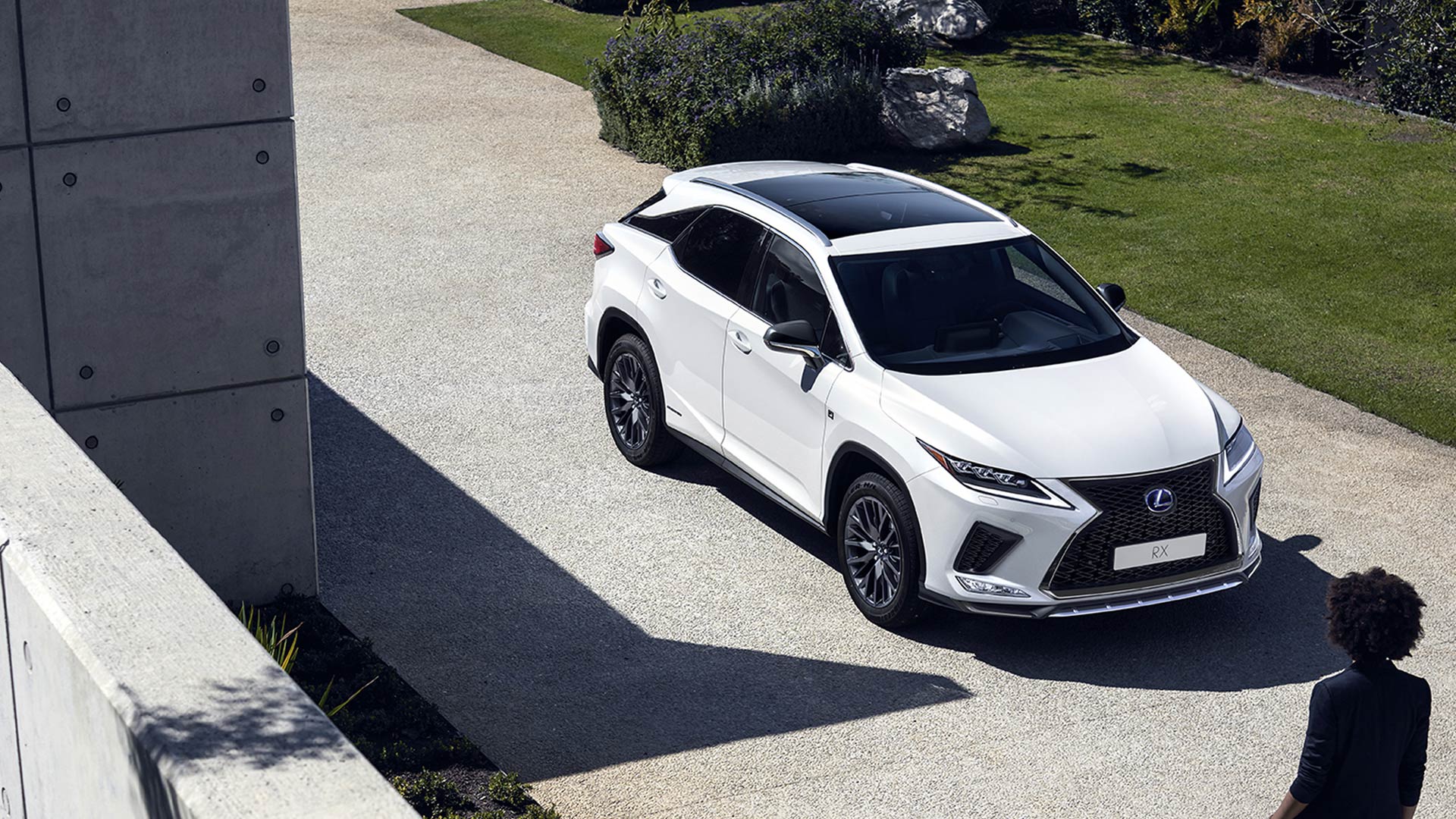 lexus rx 2019 2