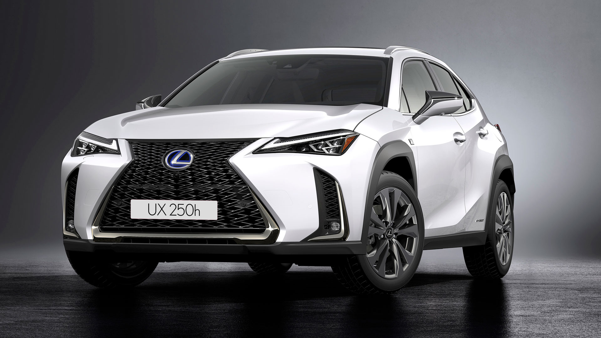 Lexus Safety System hero asset