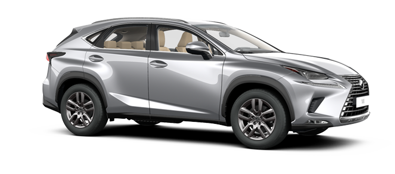 NX 300h