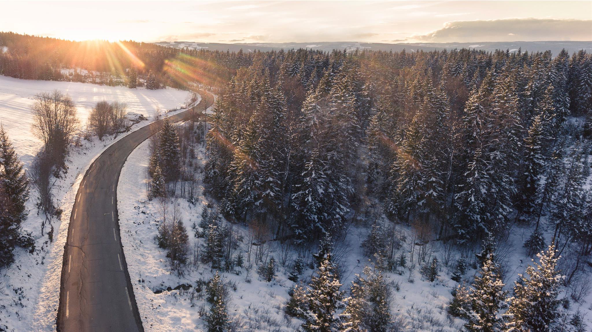 background winter campaign faq