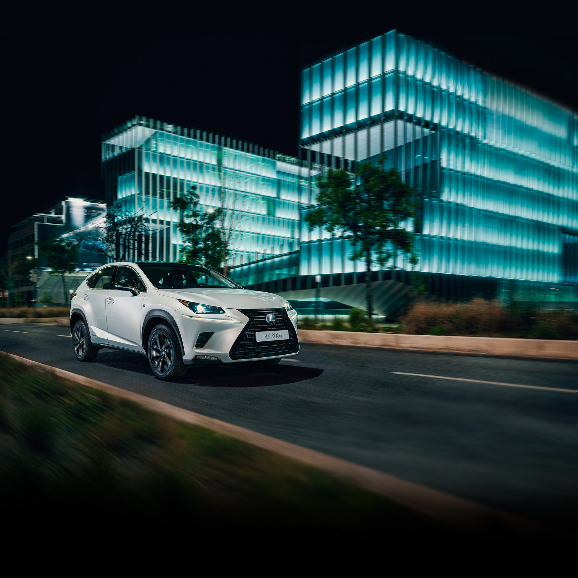 Lexus NX 300h occasions