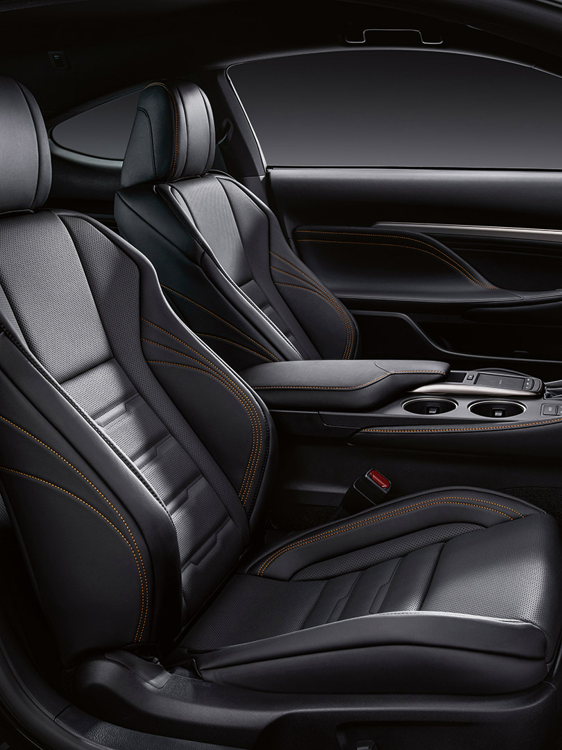 RC F Sport Black Edition sierpanelen