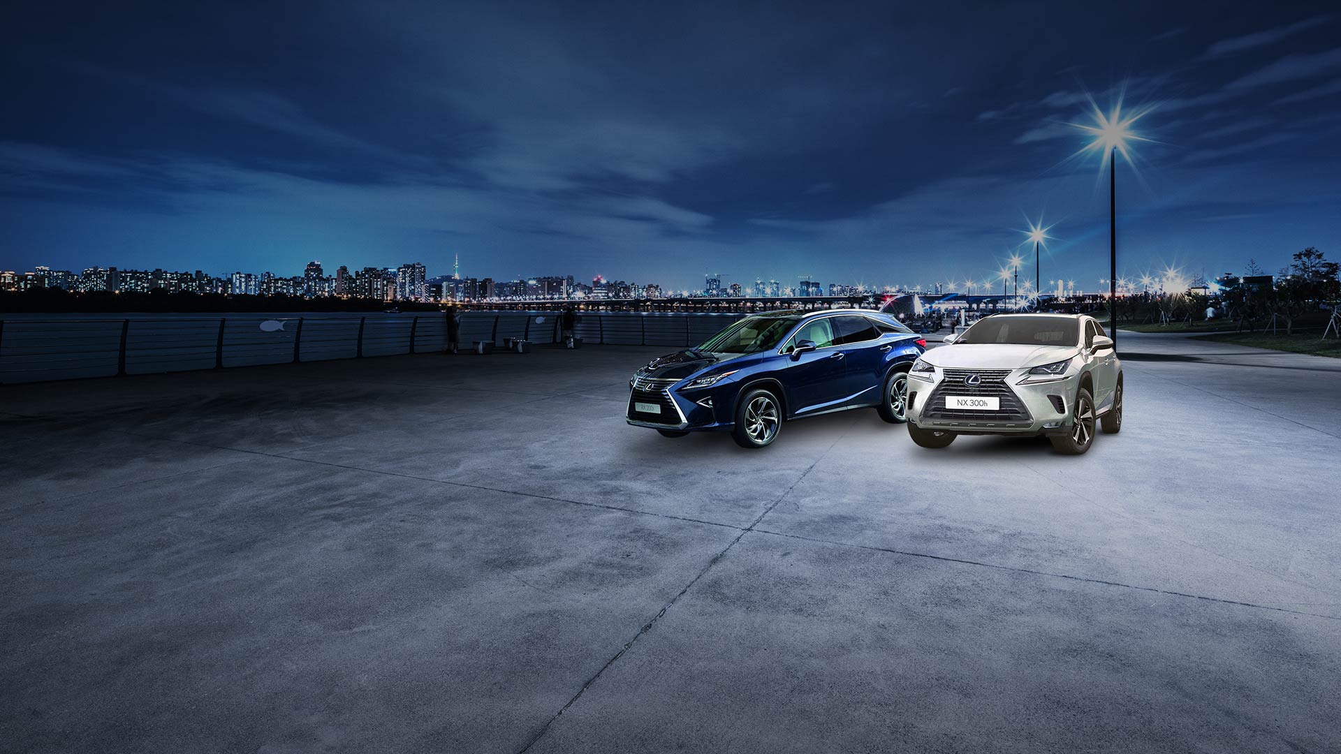 RX NX1920x1080 v5